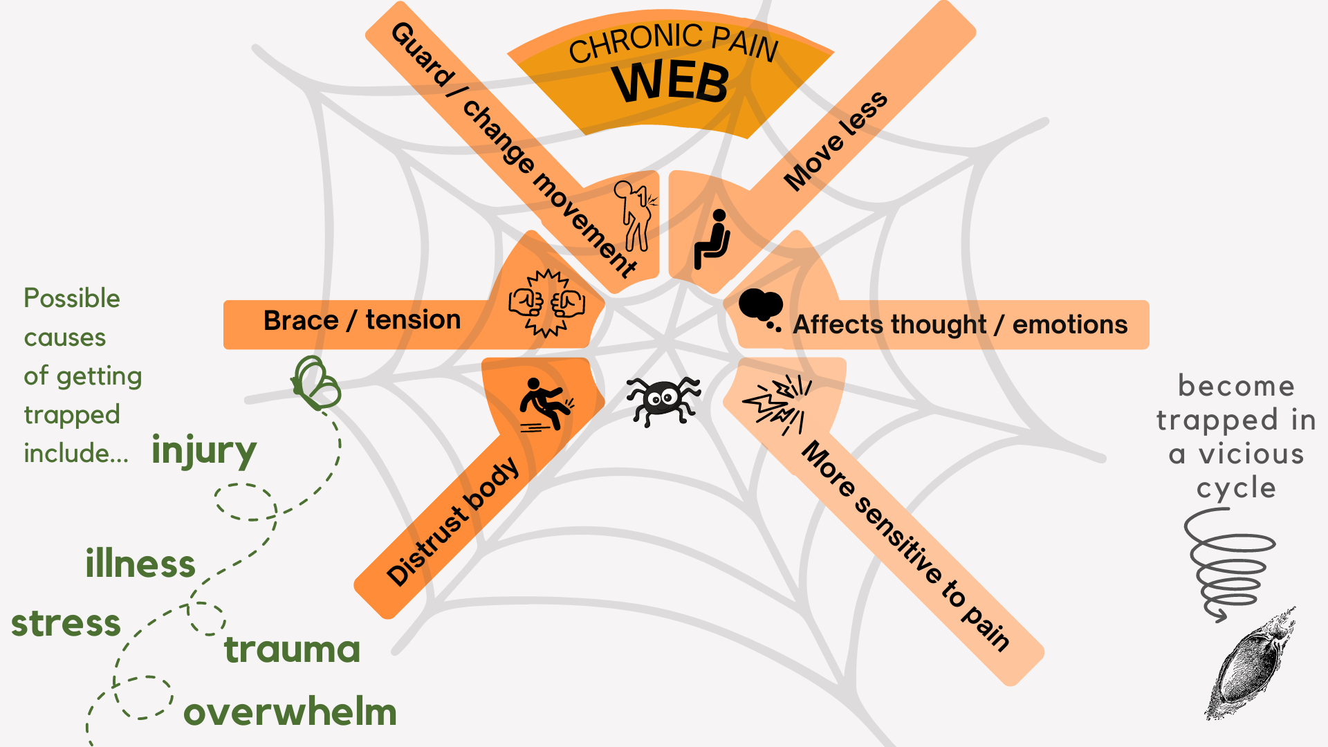 Web of chronic pain